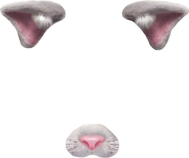 Cat Face Parts Transparent Background PNG image