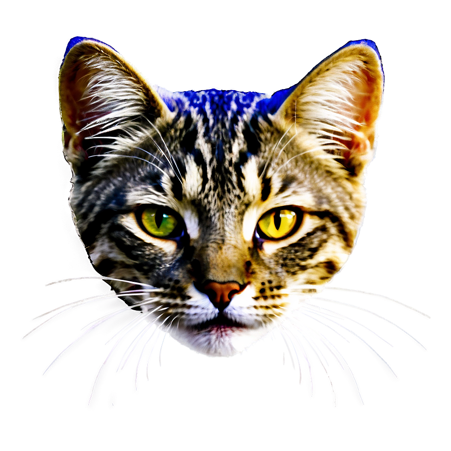 Cat Head C PNG image