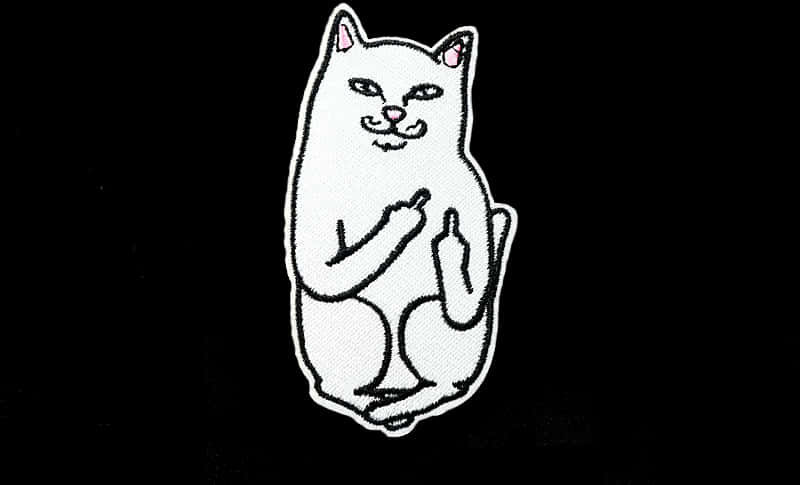 Cat Patch Giving Middle Finger PNG image