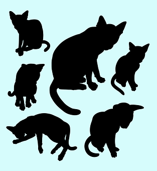 Cat Silhouettes Collection PNG image