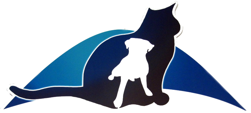 Catand Dog Silhouette PNG image