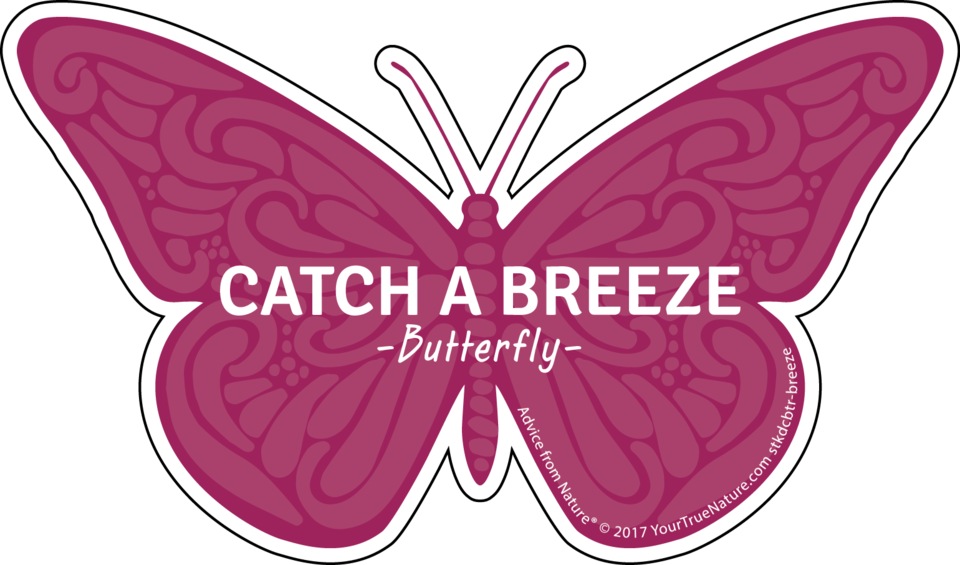 Catch A Breeze Butterfly Graphic PNG image