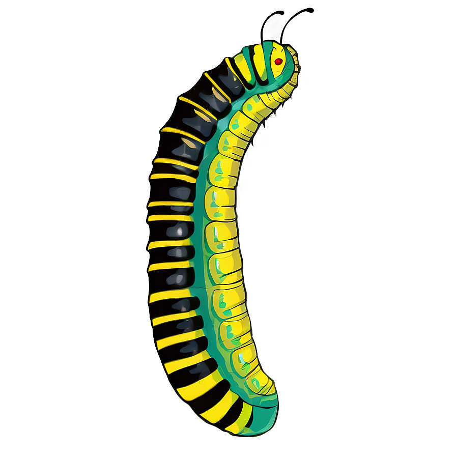 Caterpillar Becoming Chrysalis Png Aet PNG image