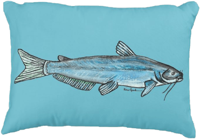 Catfish Illustration Cushion.png PNG image