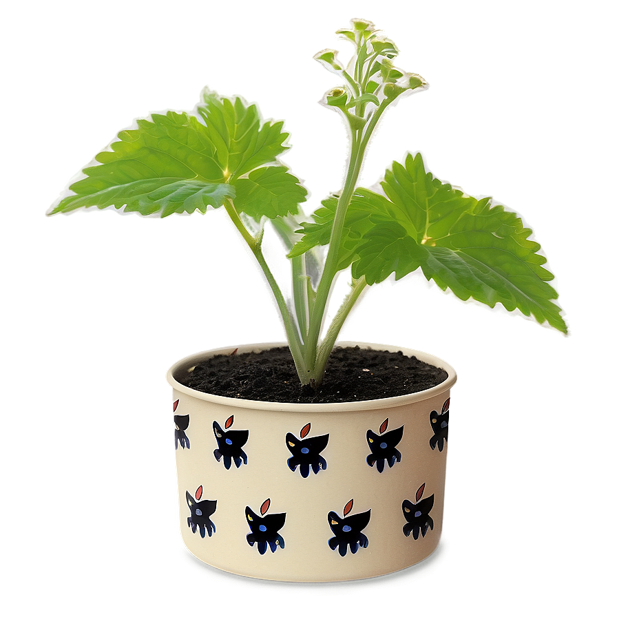 Catnip Growing Kit Png 06242024 PNG image