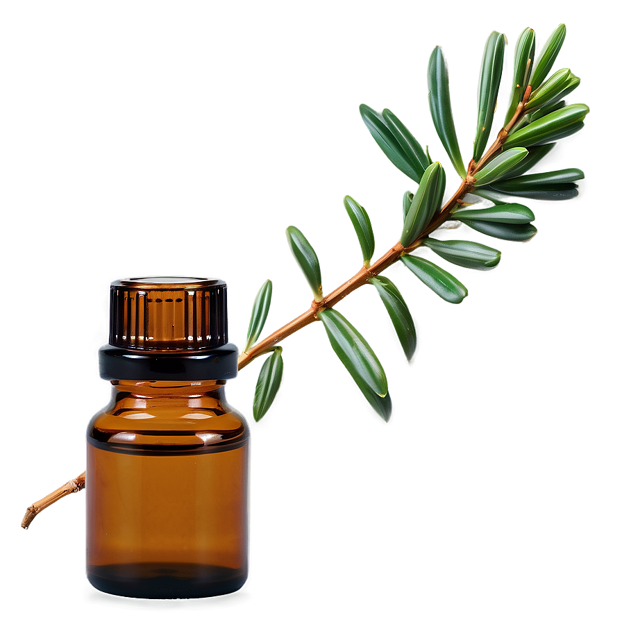 Cedar Atlas Essential Oil Png 84 PNG image