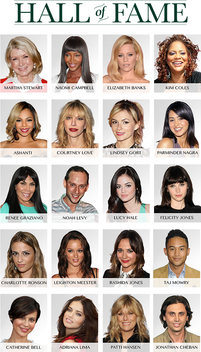 Celebrity Hallof Fame Collage PNG image