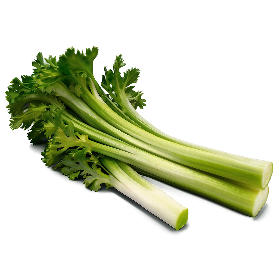 Celery Bundle Png 06252024 PNG image