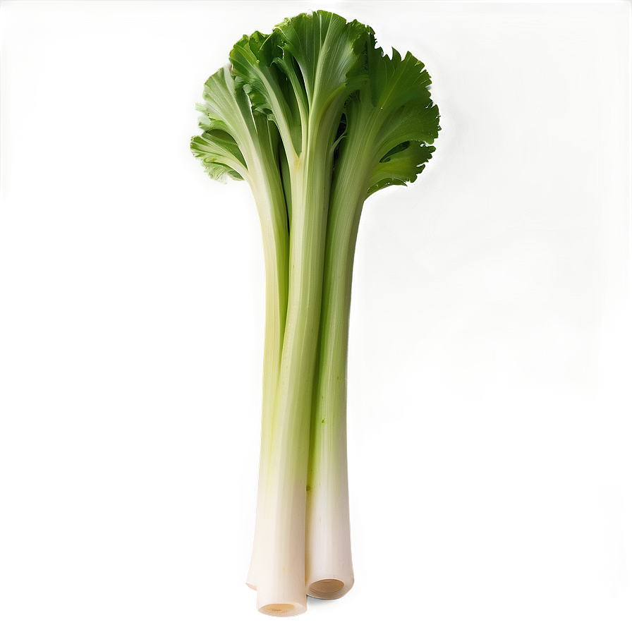 Celery Bundle Png 49 PNG image