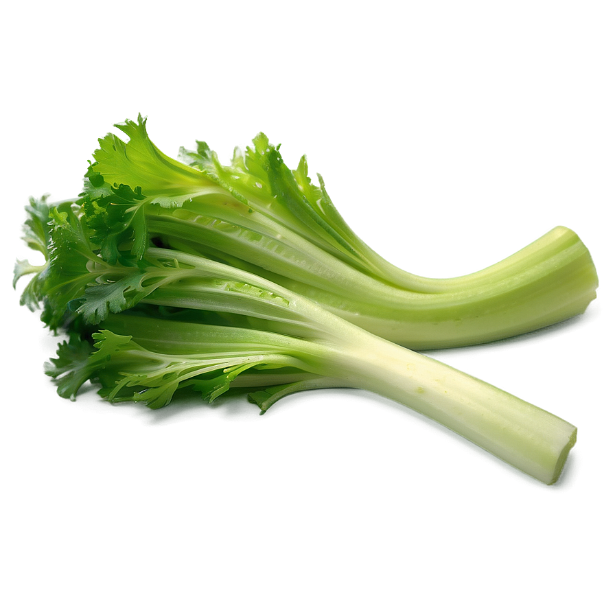 Celery For Cooking Png Sjy20 PNG image