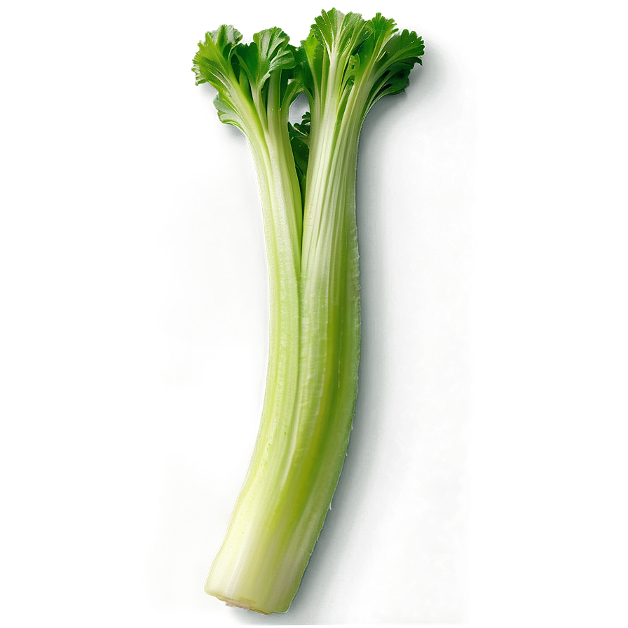 Celery For Detox Png 06252024 PNG image