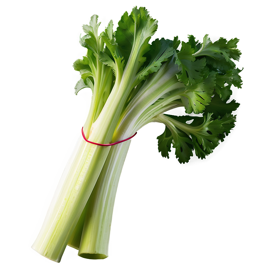 Celery For Detox Png 06252024 PNG image