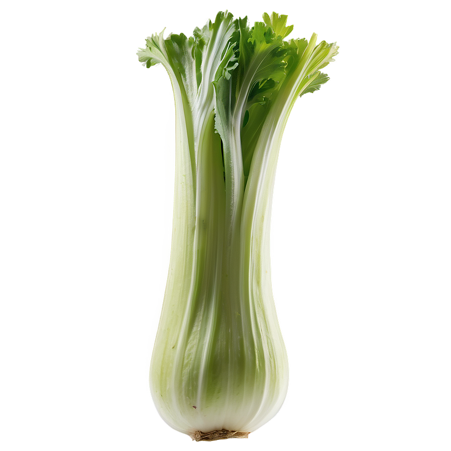 Celery For Detox Png 92 PNG image