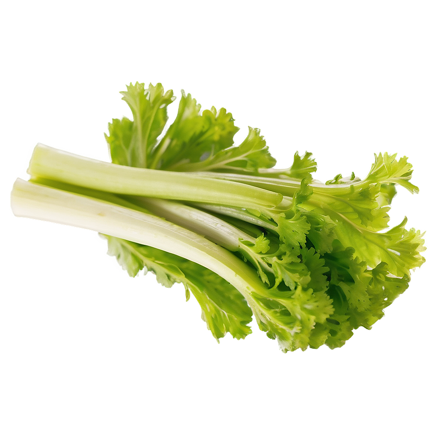 Celery For Salad Png 06252024 PNG image