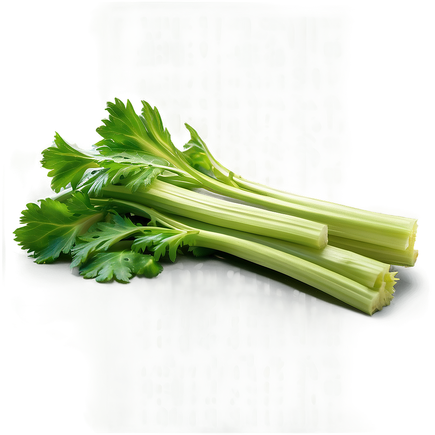 Celery Leaves Png 6 PNG image