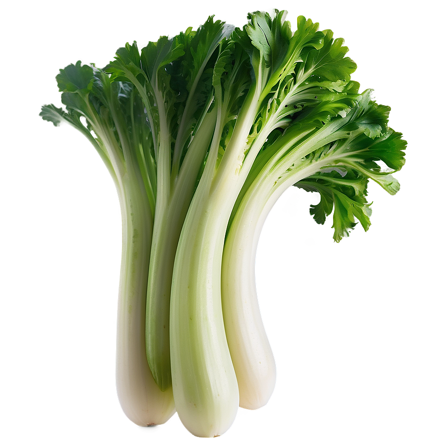 Celery Salad Ingredient Png Vpw62 PNG image