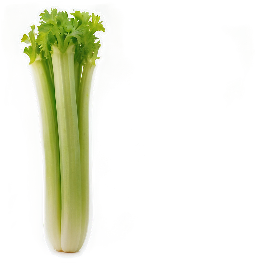 Celery Snack Png Mew83 PNG image