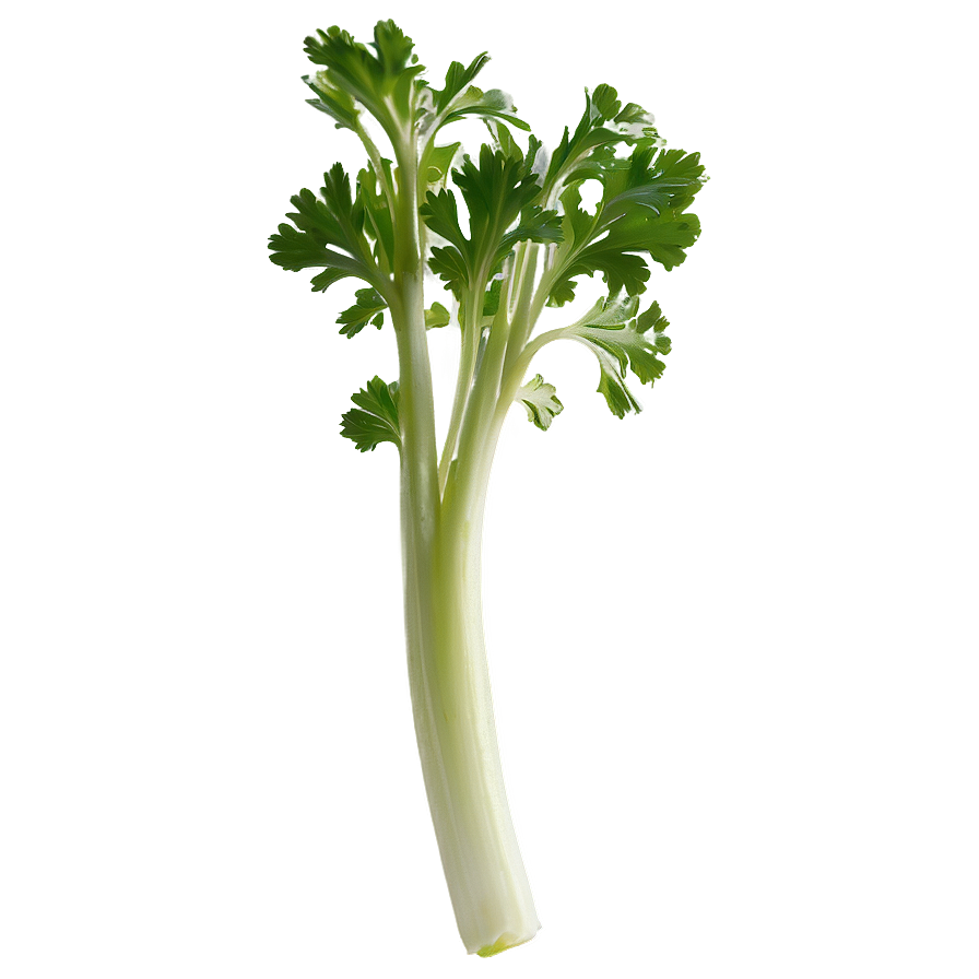 Celery Sprig Png Fma78 PNG image