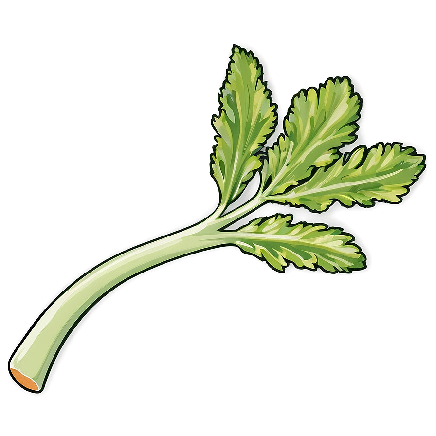 Celery Sprig Png Uir PNG image