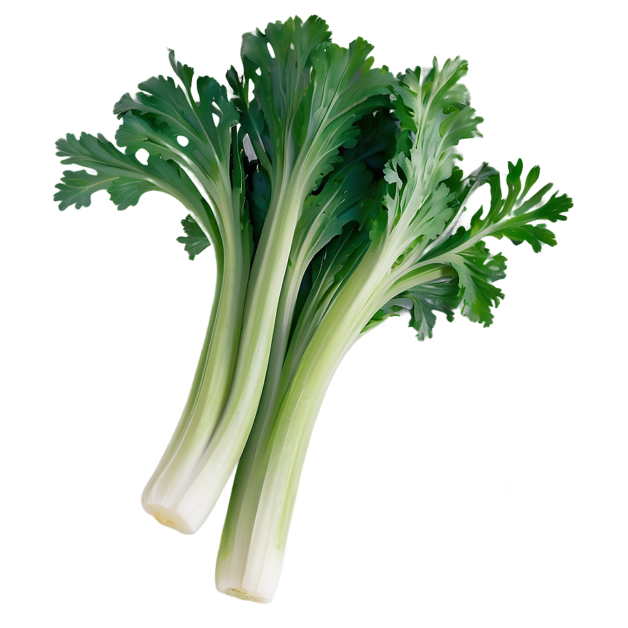 Celery Vegetable Png 06252024 PNG image