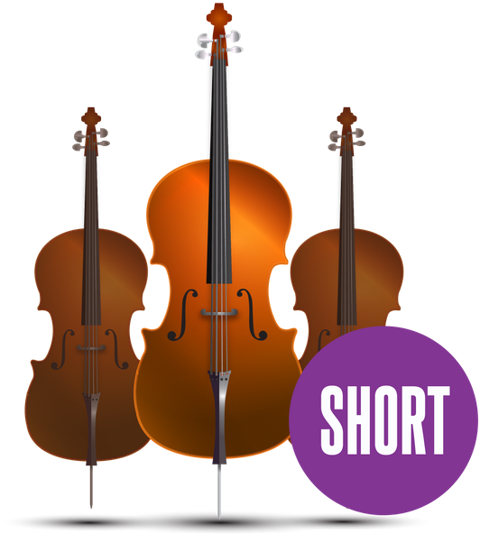 Cello Size Comparison Chart PNG image