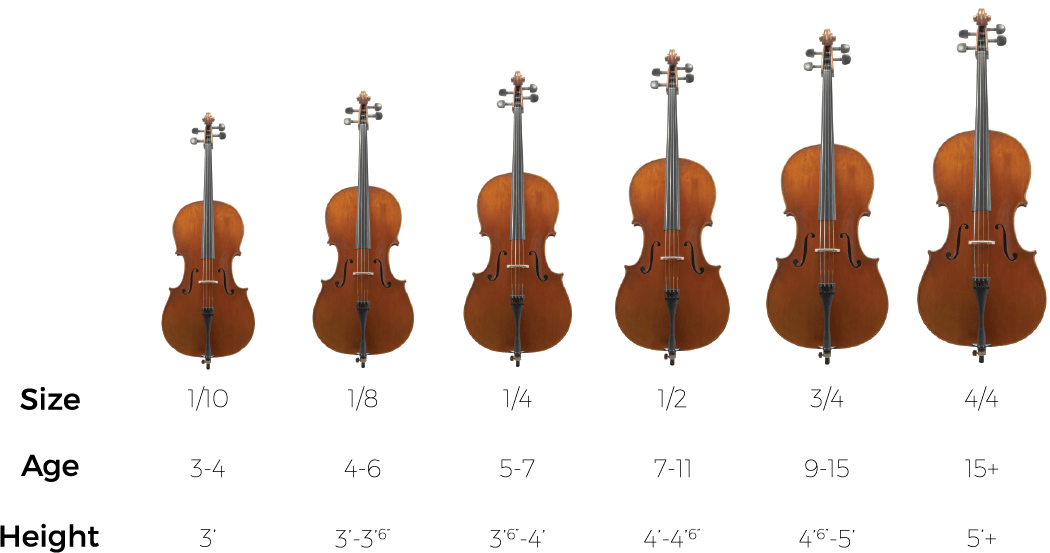 Cello Sizes Comparison Chart PNG image