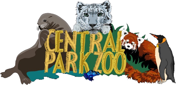 Central Park Zoo Animal Montage PNG image