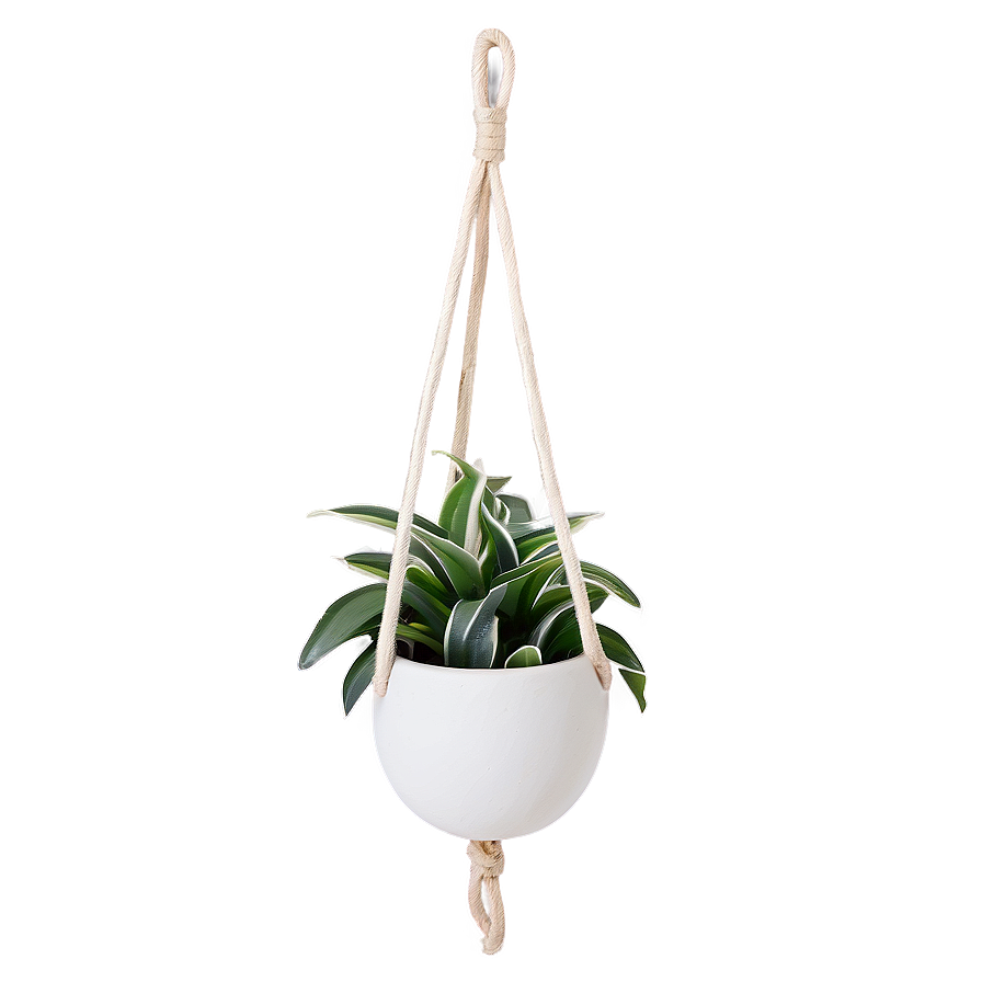 Ceramic Hanging Plant Png Llf PNG image