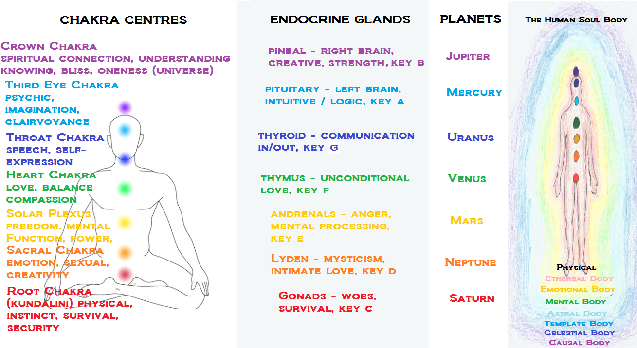 Chakra Endocrine Planets Correlation Chart PNG image