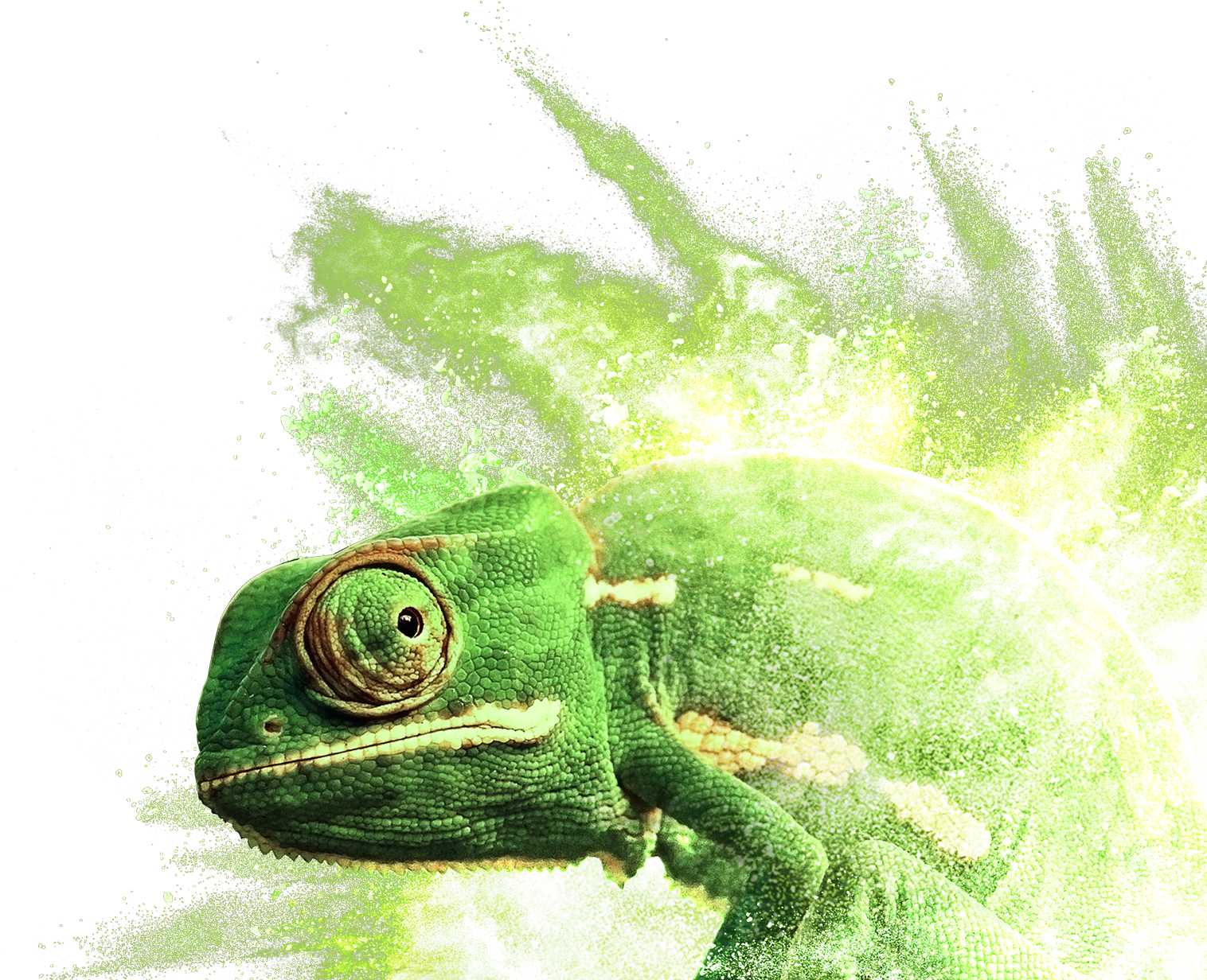 Chameleon Digital Artwork PNG image