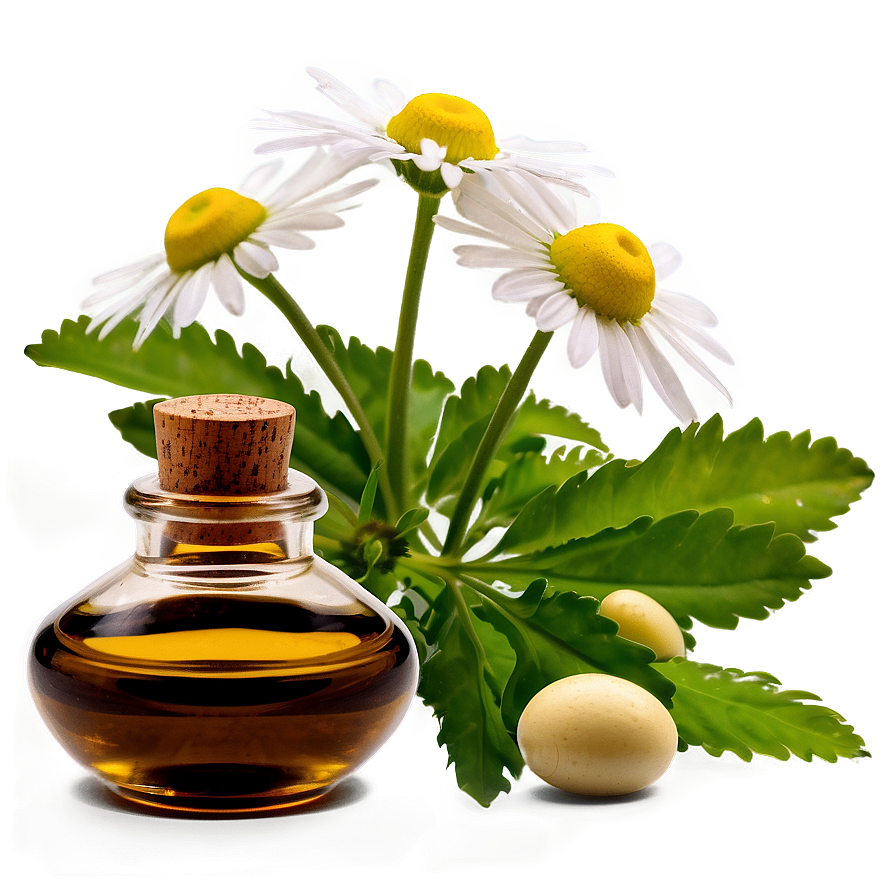 Chamomile Essential Oil Png Tiq39 PNG image