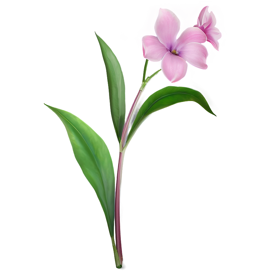 Charming Flower Stem Png Iip PNG image