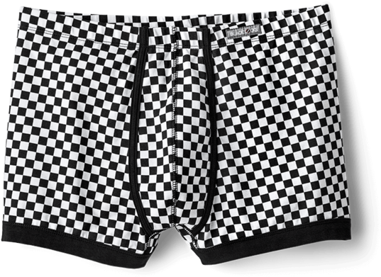 Checkered Boxer Shorts PNG image