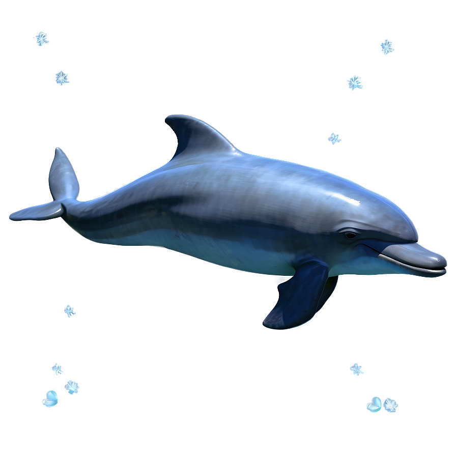 Cheerful Dolphin Png Kis71 PNG image