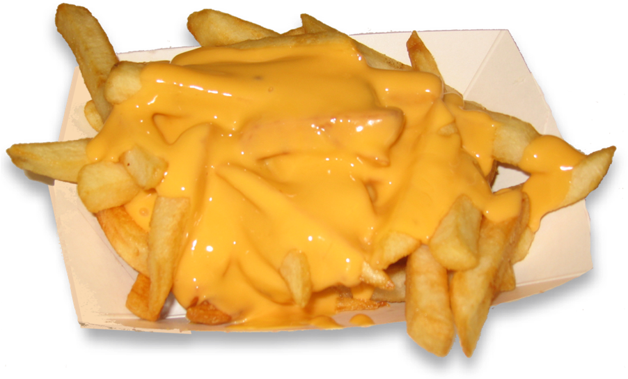 Cheesy Fries Dish.png PNG image