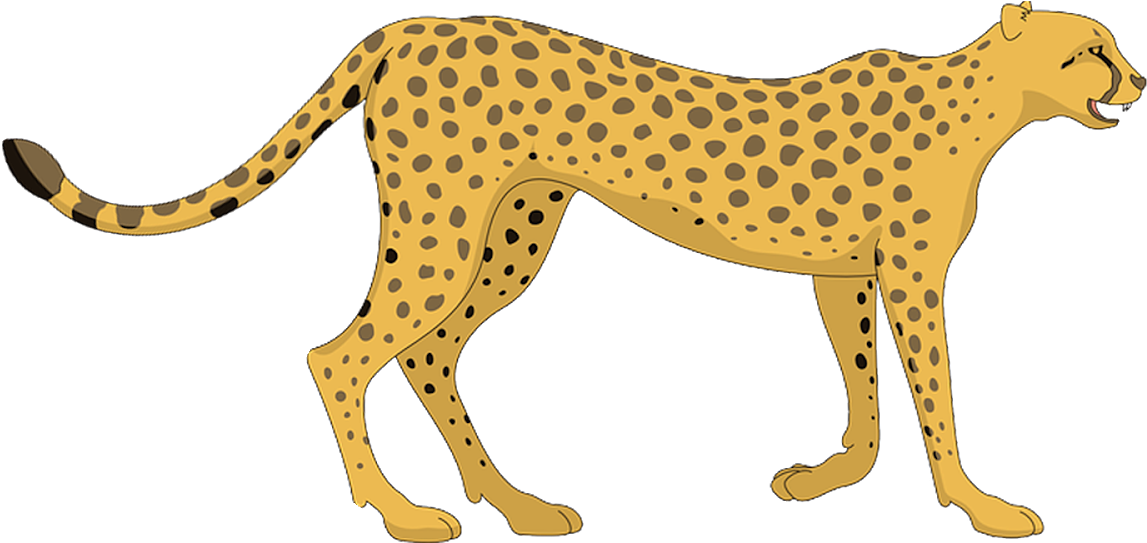 Cheetah Illustration Side View PNG image