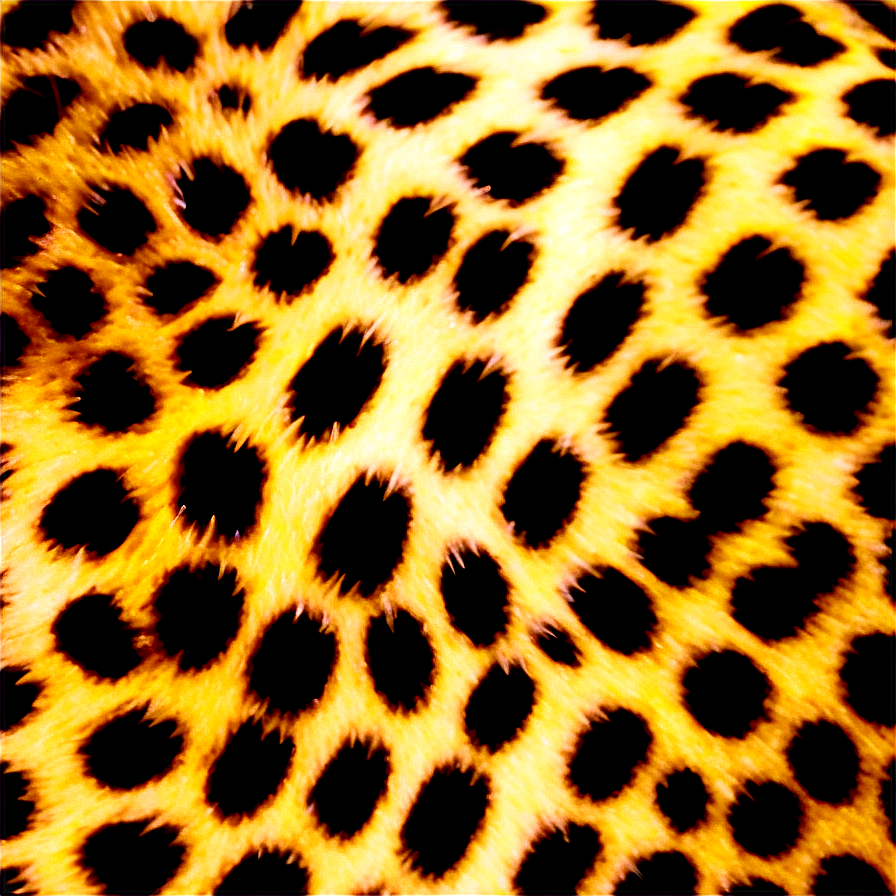 Cheetah Print Closeup View Png 4 PNG image