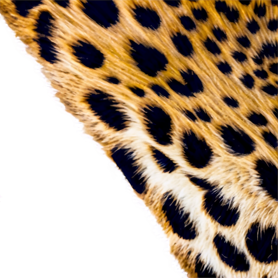 Cheetah Print Detail Shot Png 05232024 PNG image