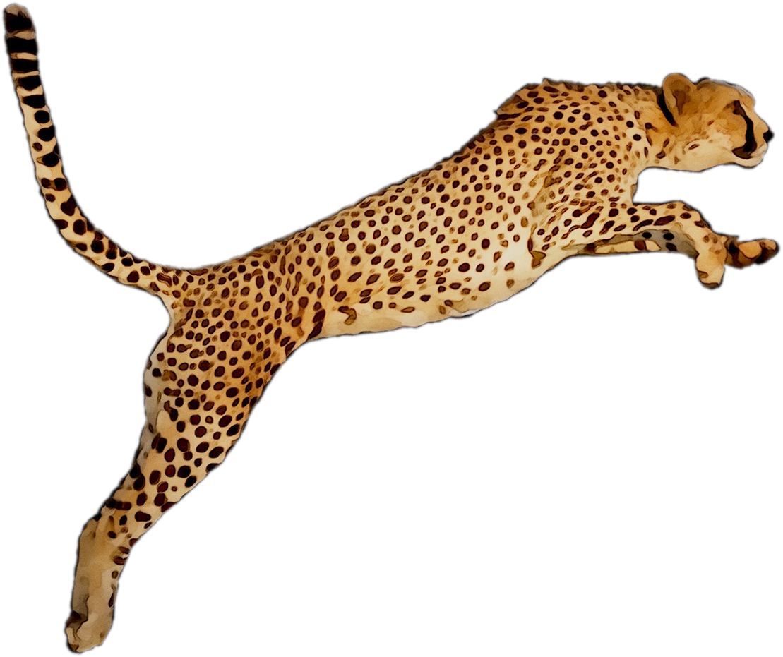 Cheetahin Mid Stride PNG image
