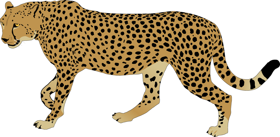 Cheetahin Stride Illustration PNG image
