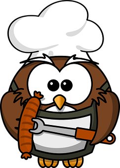 Chef Owl Holding Carrot PNG image
