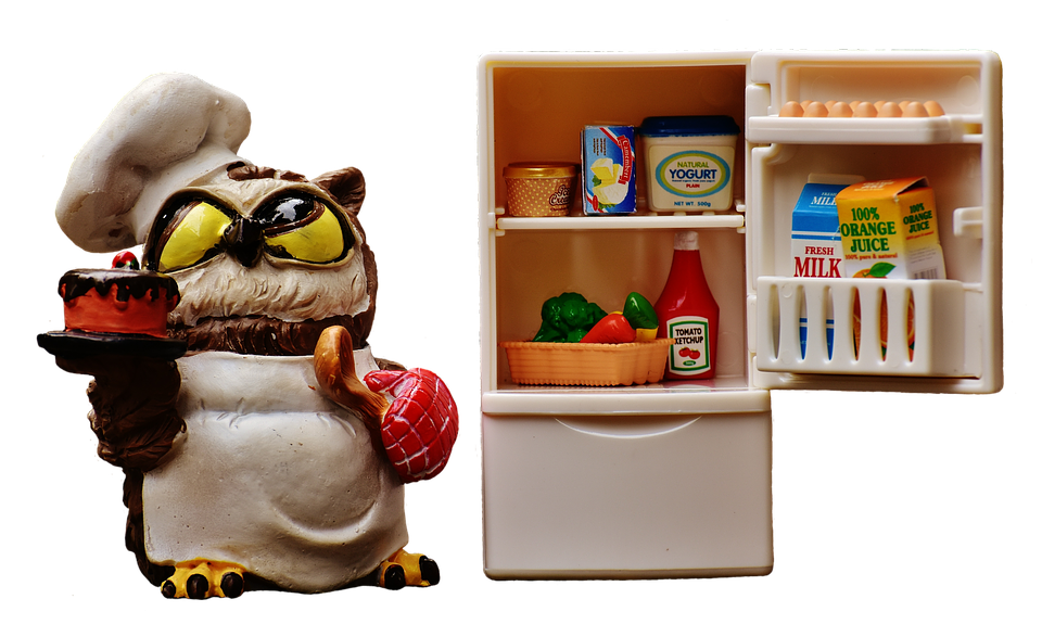 Chef Owlwith Fridgeand Food Items PNG image