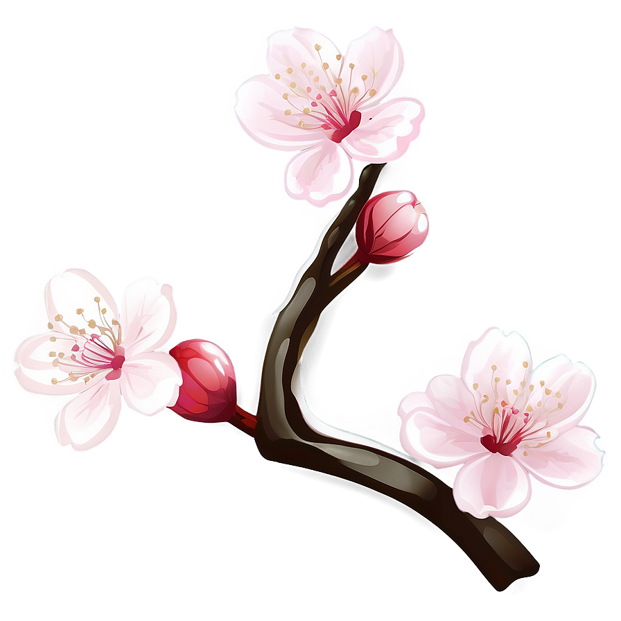 Cherry Blossom Aesthetic Wallpaper Png Gxa98 PNG image