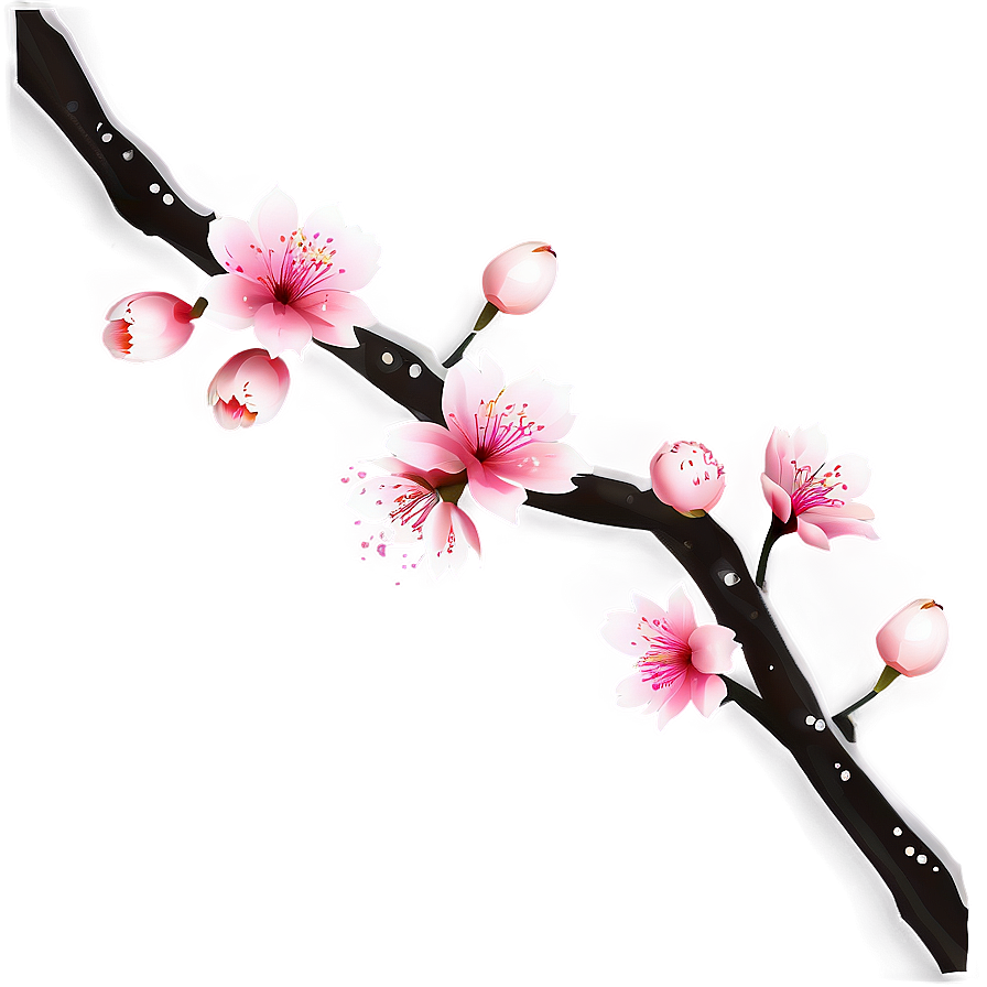 Cherry Blossom Border Png 25 PNG image