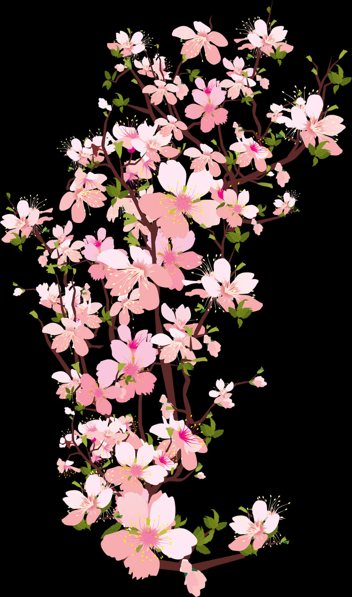 Cherry Blossom Branches Artwork PNG image