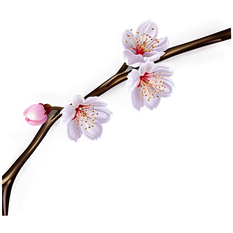 Cherry Blossom Festival Graphics Png 40 PNG image