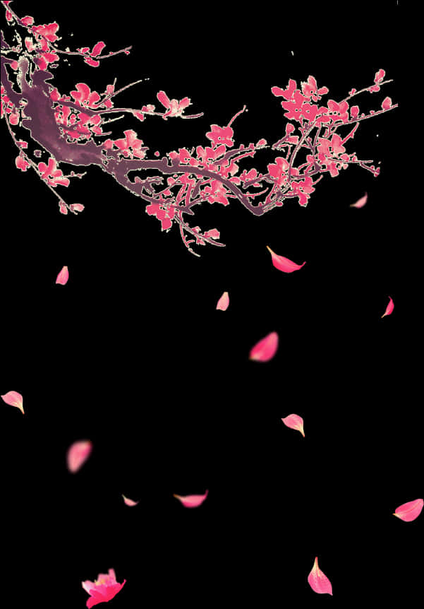 Cherry Blossom Petals Falling PNG image