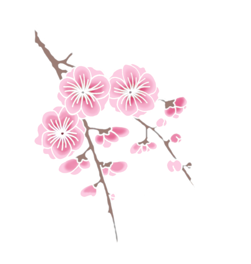 Cherry Blossomson Branch PNG image