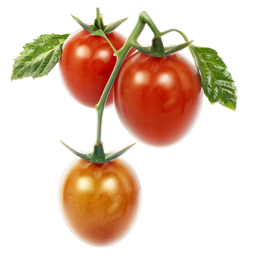 Cherry Tomatoes On Vine Png 76 PNG image