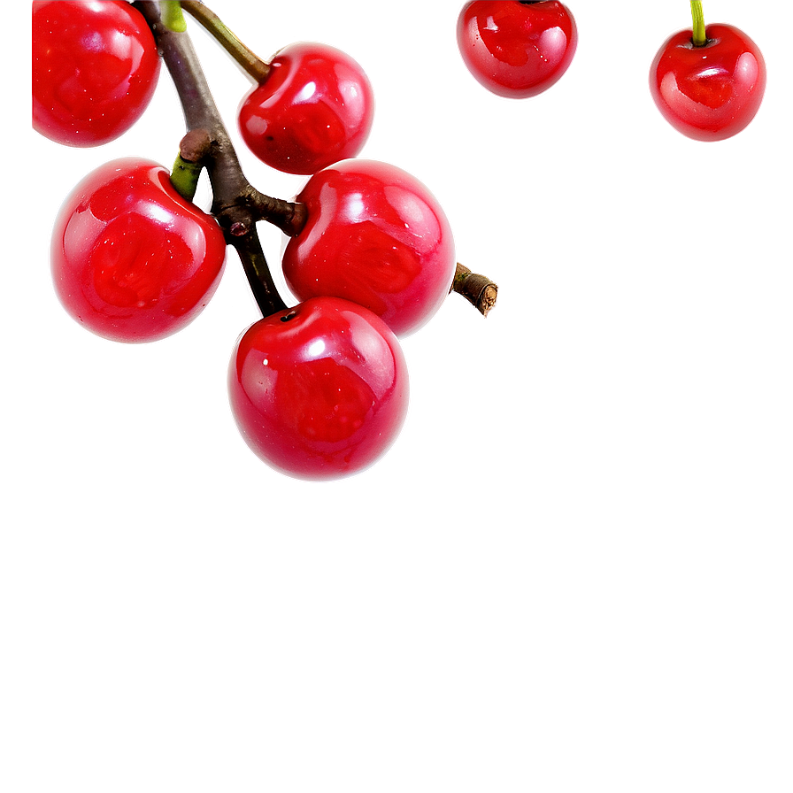 Cherry Tree Branch Png Rrv67 PNG image